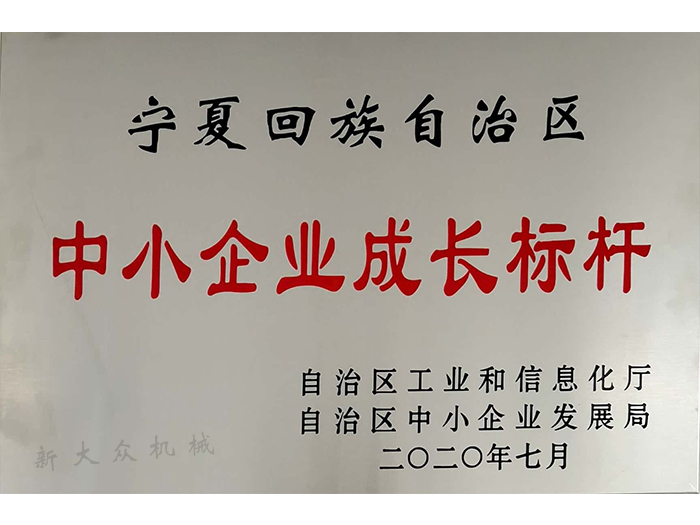 2020年7月或甯(níng)夏回族自治區(qū)中(zhōng)小企業成長标杆